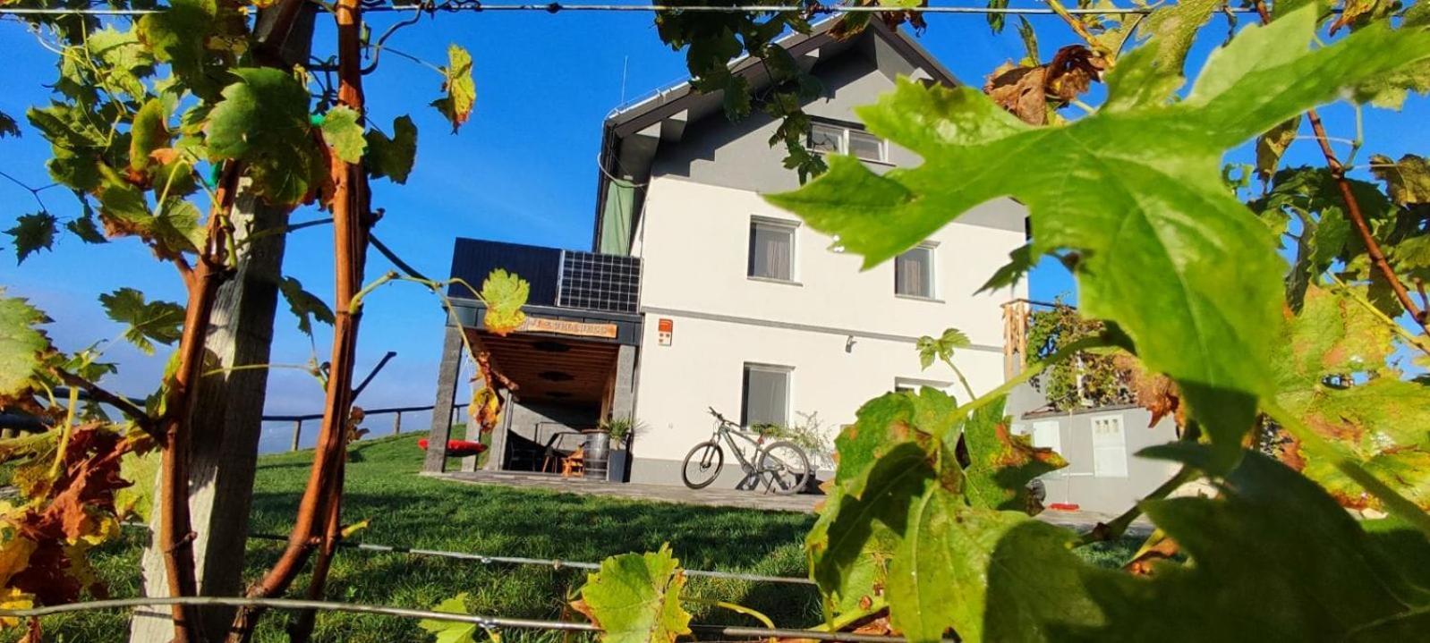Apartmaji Gracner Dramlje 外观 照片